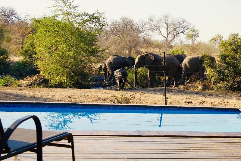 בית מלון כפרי Masodini Game Lodge