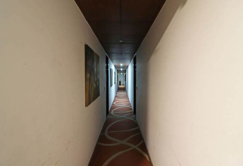 Отель Oyo Premium Neelam Chowk