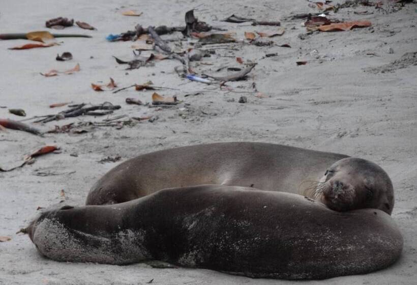 호텔 Paraiso De Isabela