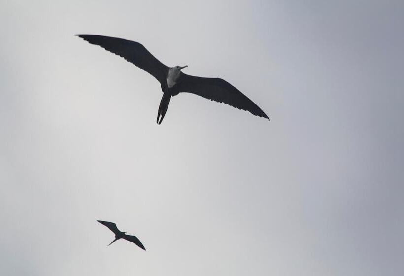 호텔 Paraiso De Isabela