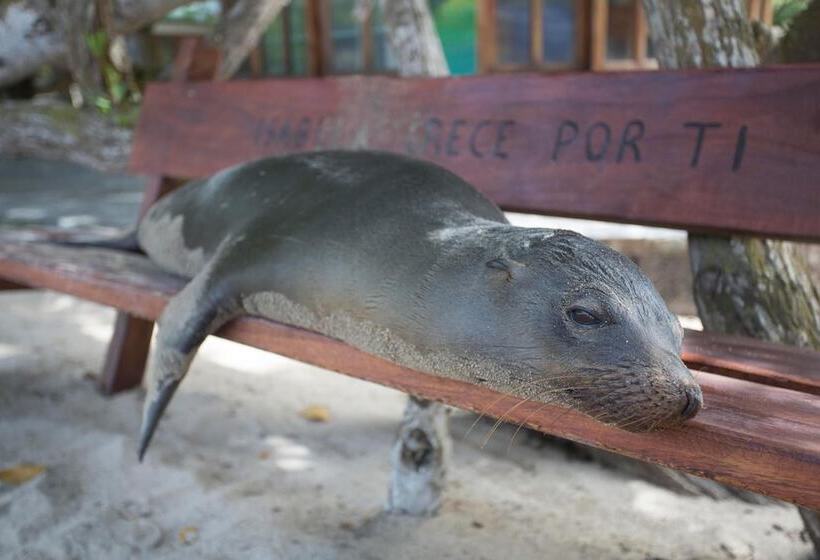 호텔 Paraiso De Isabela
