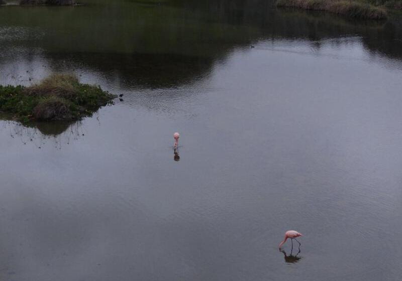 호텔 Paraiso De Isabela