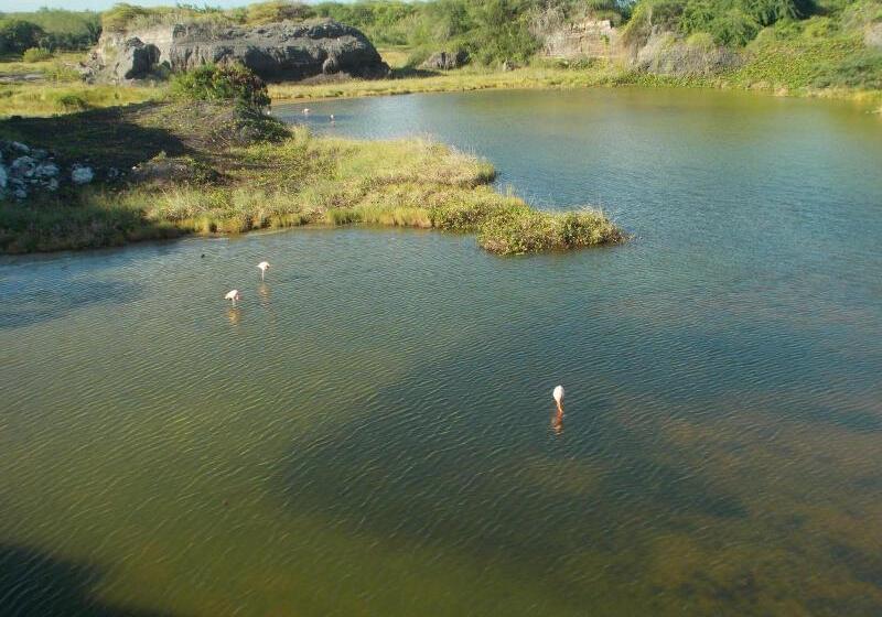 호텔 Paraiso De Isabela