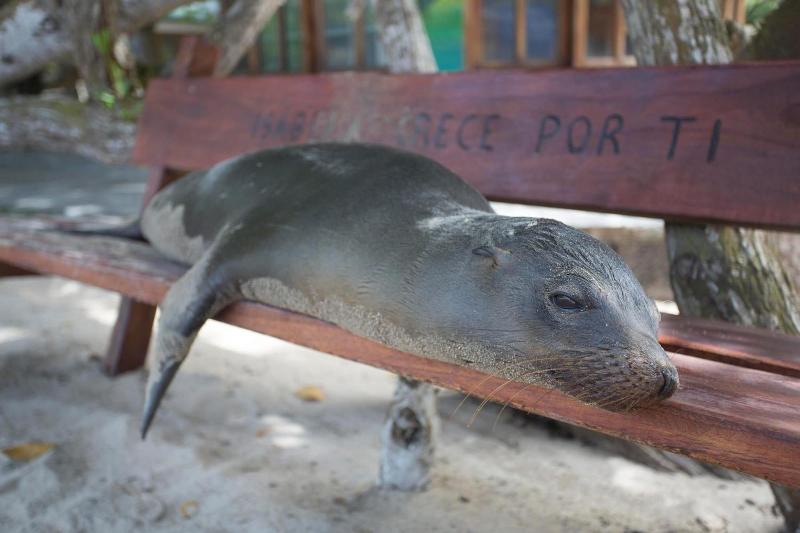 호텔 Paraiso De Isabela