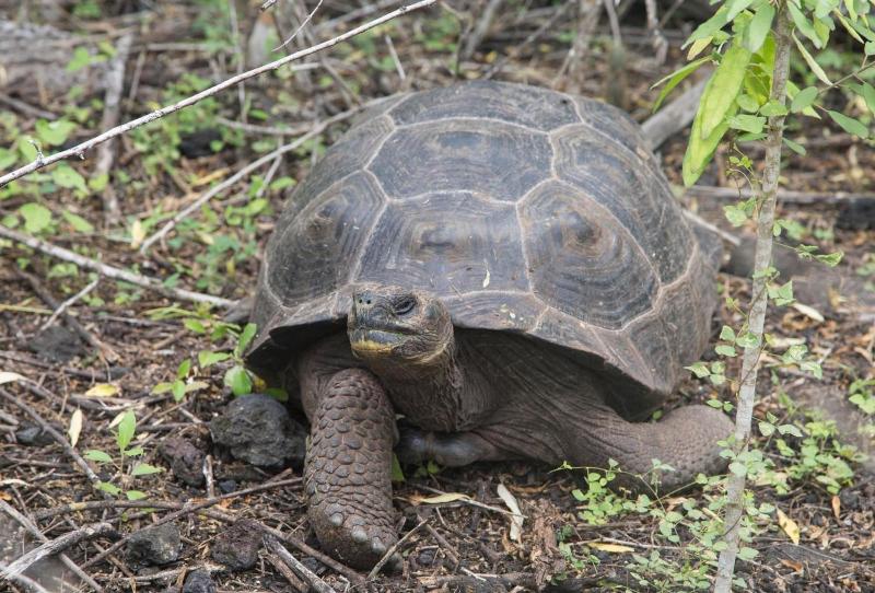 호텔 Paraiso De Isabela