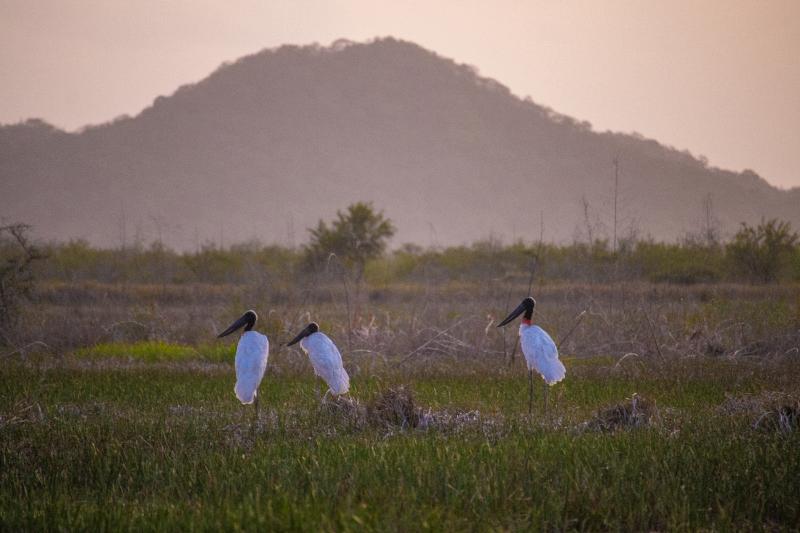 호텔 Rancho Humo Estancia