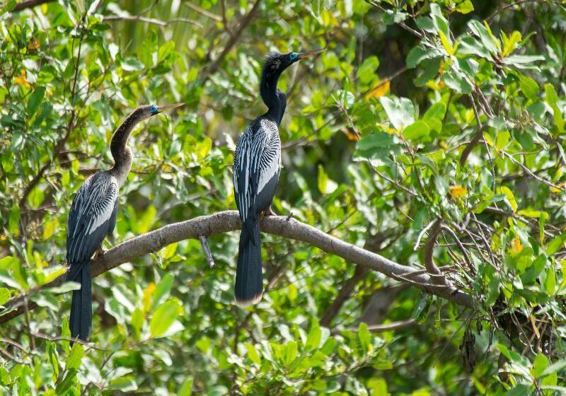 호텔 Rancho Humo Estancia