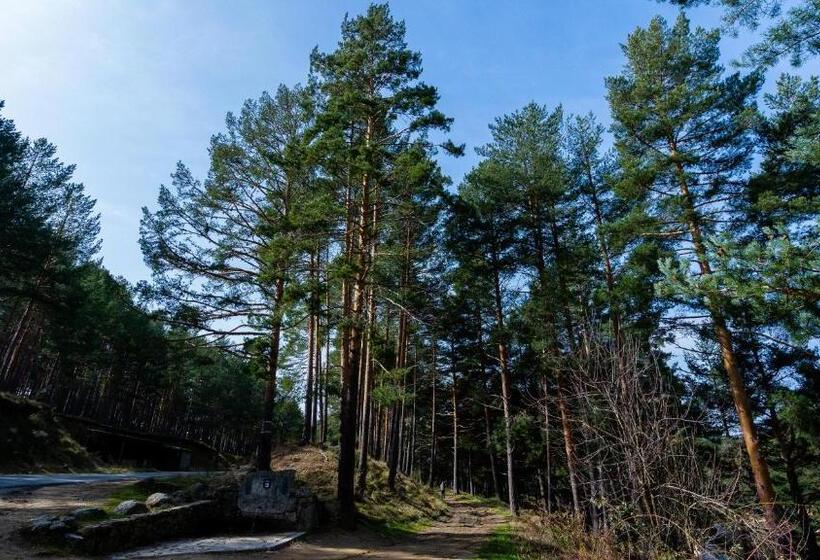 Altogredos Hotel Rural Y Apartamentos Turísticos