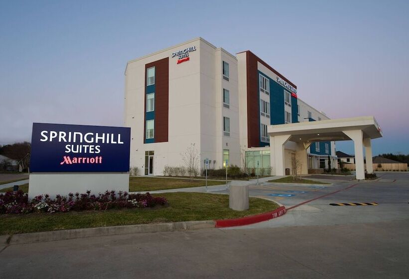 酒店 Springhill Suites By Marriott Houston Hwy. 290/nw Cypress
