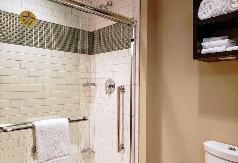 호텔 Staybridge Suites Baltimore   Inner Harbor, An Ihg