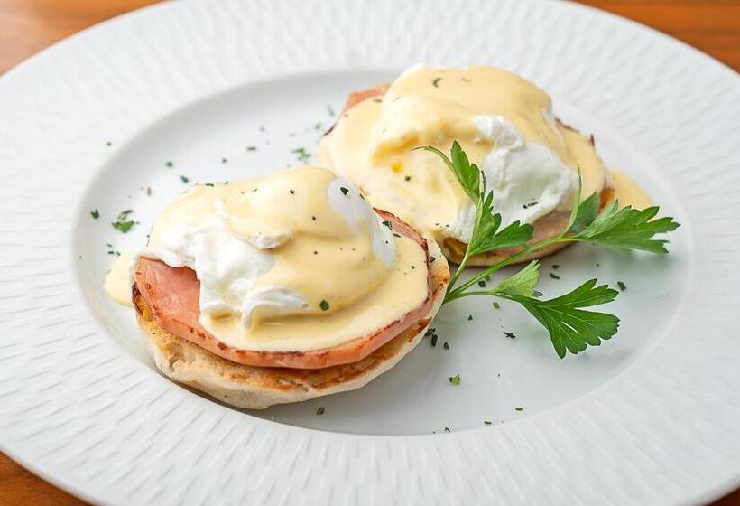 The Clement Hotel   All Inclusive Urban Resort