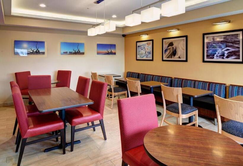 ホテル Towneplace Suites By Marriott Detroit Troy