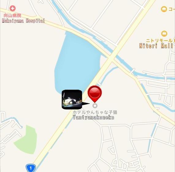 酒店 Yancha Na Koneko