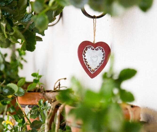 ペンション Four Palms Accommodation