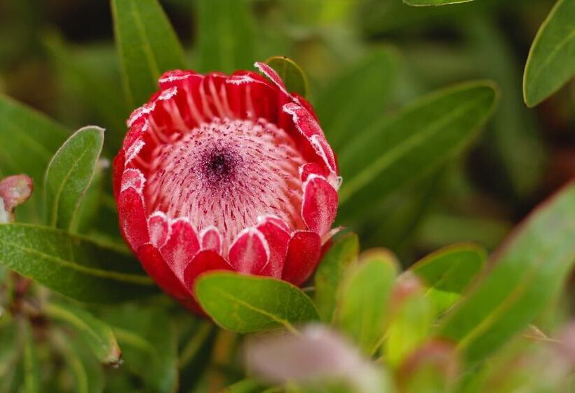 膳宿费 Inn Victori