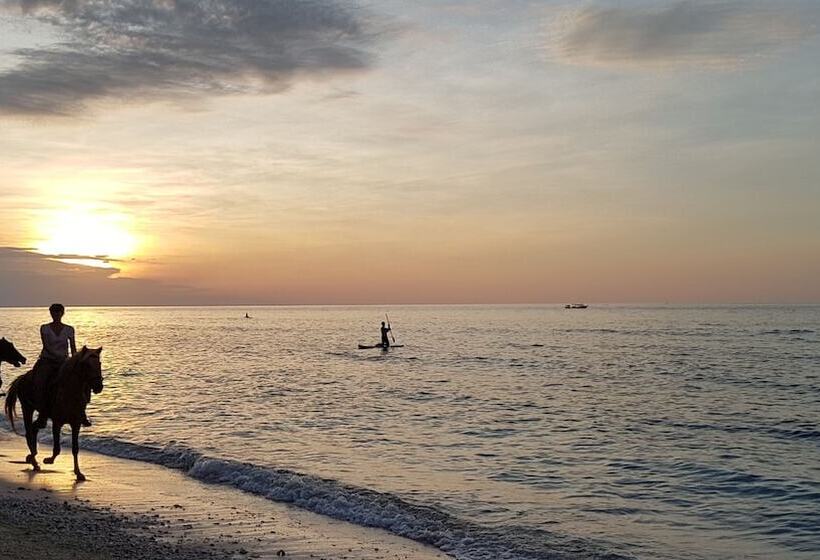 膳宿费 Karma Kayak