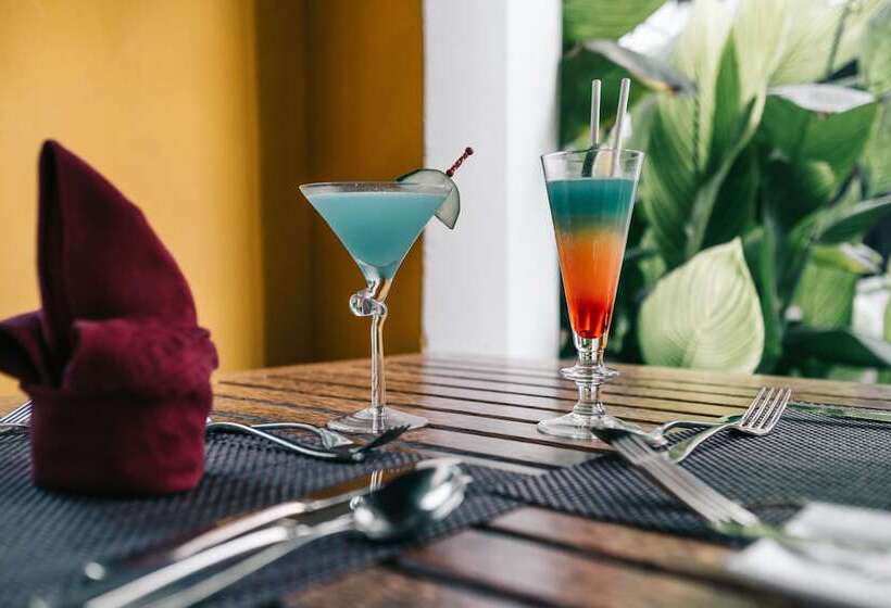 膳宿费 Kholle House