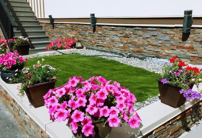 Riverside Motel Cache Creek