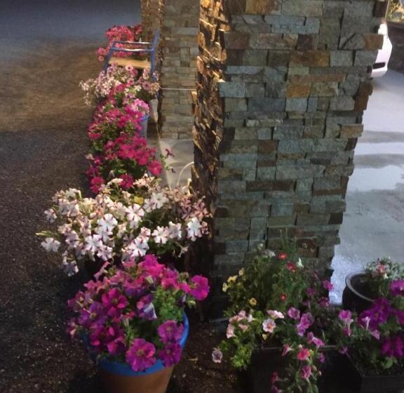 Riverside Motel Cache Creek