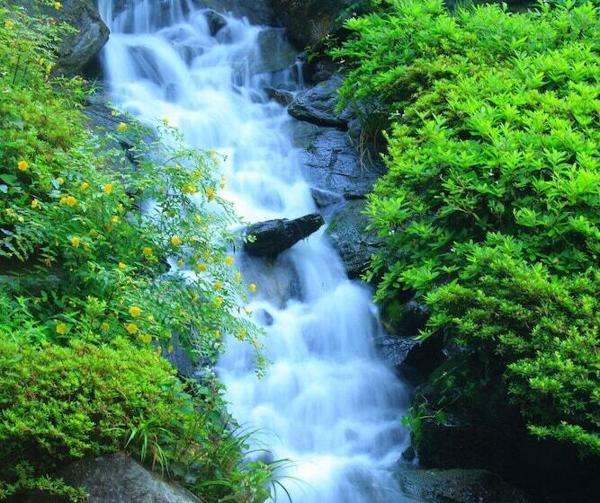 ریوکان Sansatei