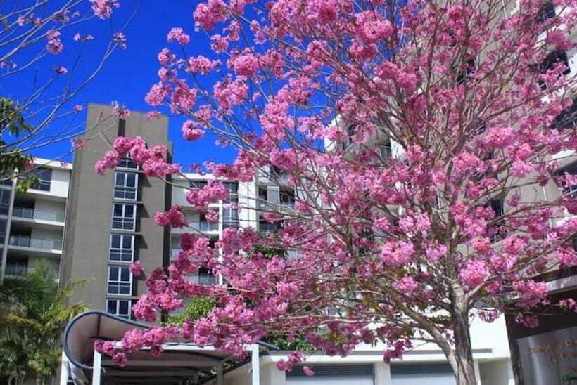 Signature Waterfront Apartments