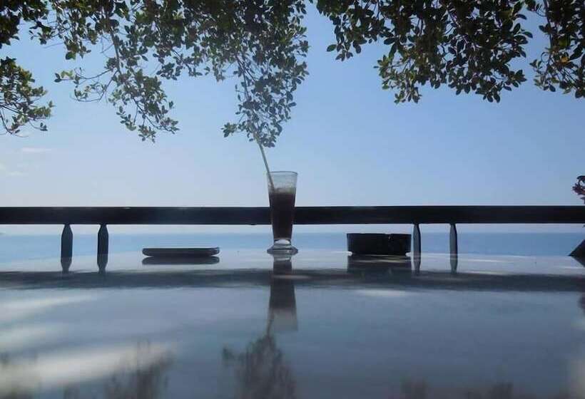 Sweet Corner Masxali