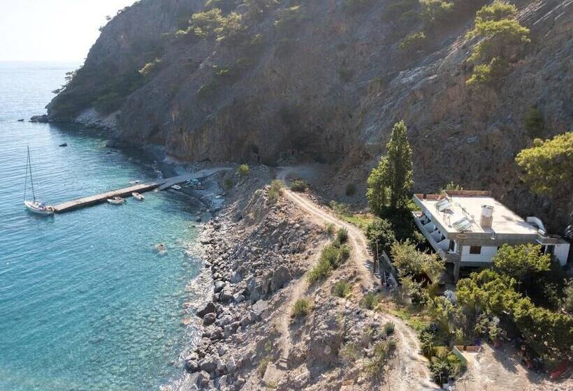 Sweet Corner Masxali