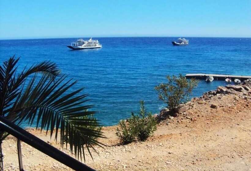 Sweet Corner Masxali