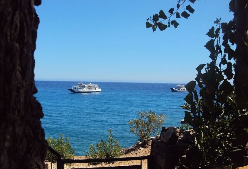 Sweet Corner Masxali