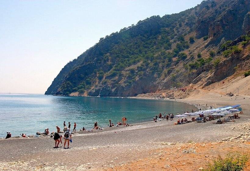 Sweet Corner Masxali