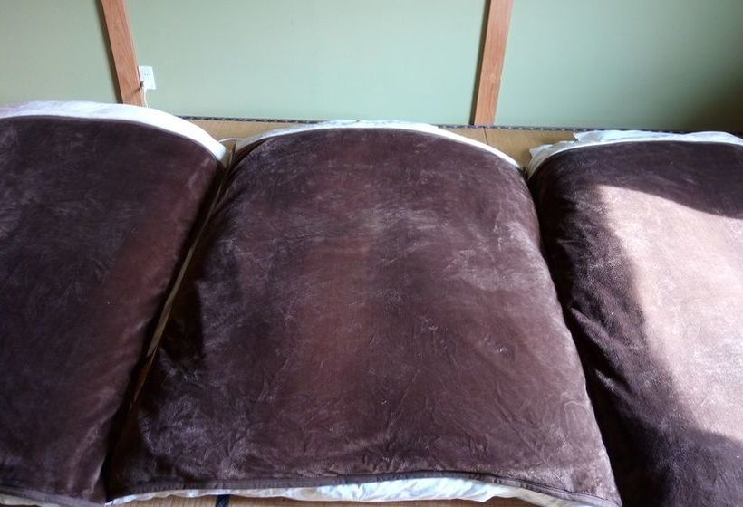 Teishaba Guesthouse & Cafe Hostel