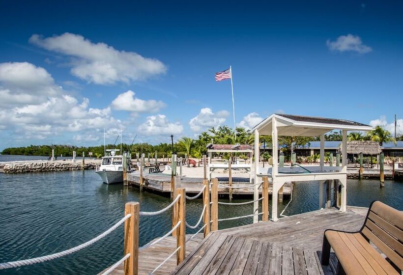 The Reef At Marathon