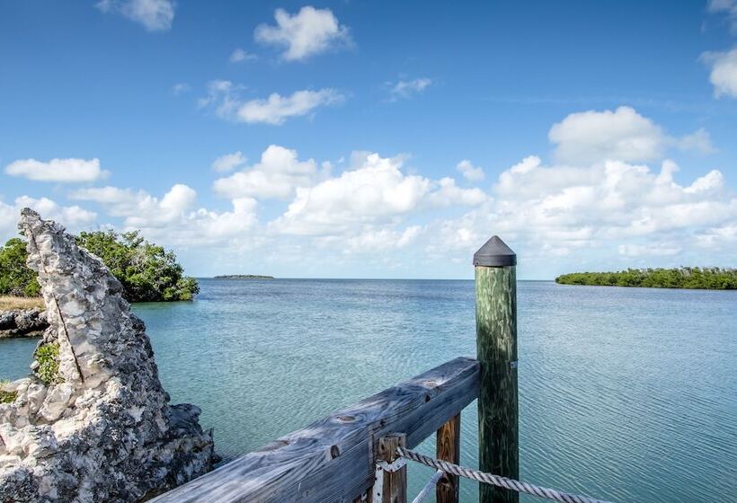 The Reef At Marathon