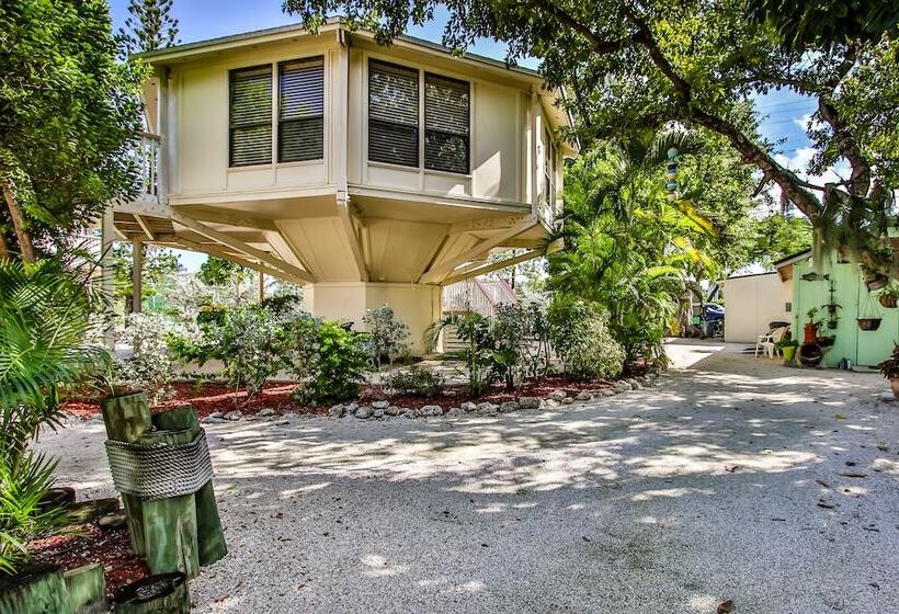 The Reef At Marathon