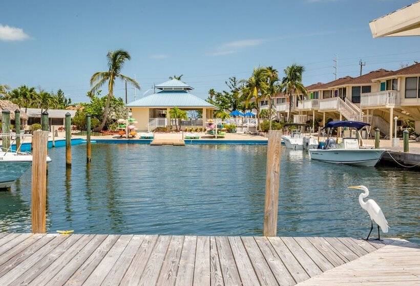 The Reef At Marathon