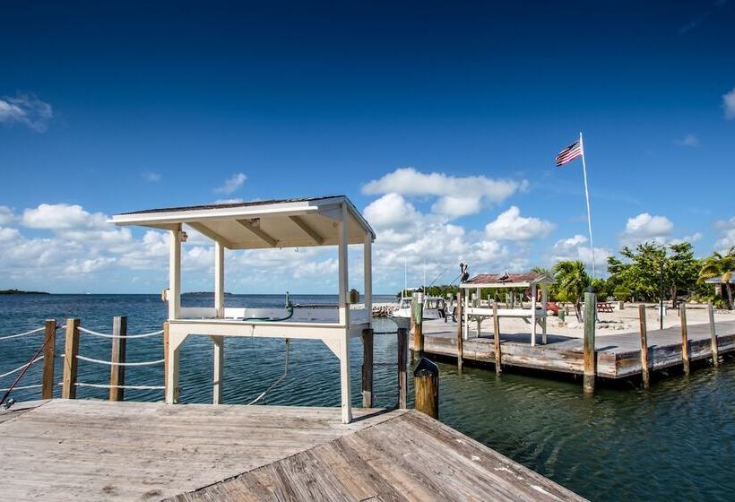 The Reef At Marathon