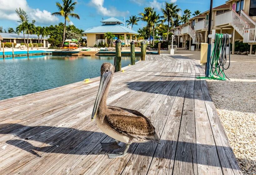 The Reef At Marathon