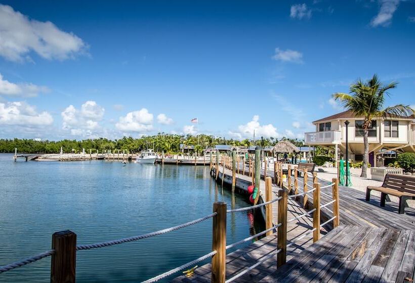 The Reef At Marathon