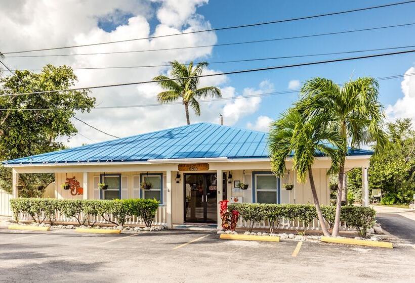 The Reef At Marathon