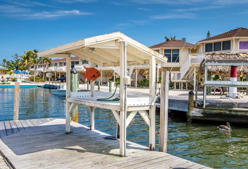 The Reef At Marathon