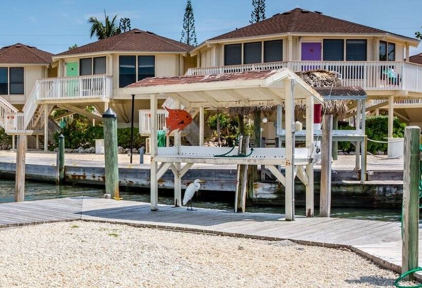 The Reef At Marathon