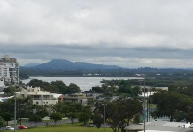 Verve On Cotton Tree