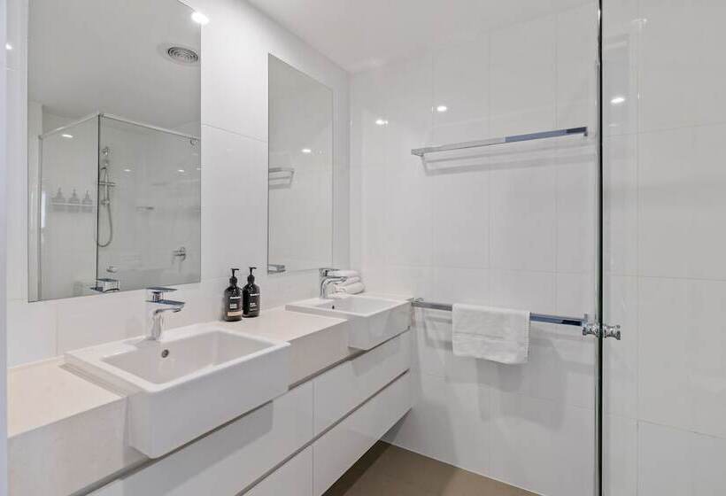 Verve On Cotton Tree