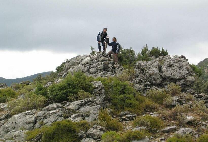 هاستل Auberge Dardara