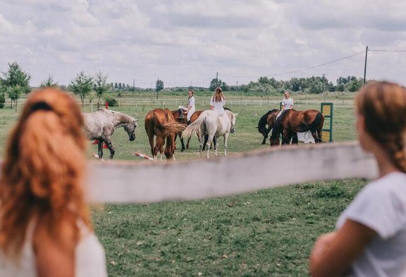 مبيت وإفطار Platános Kúria