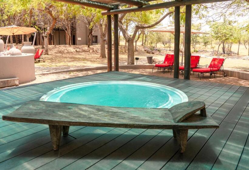 ホテル Zebula Boutique