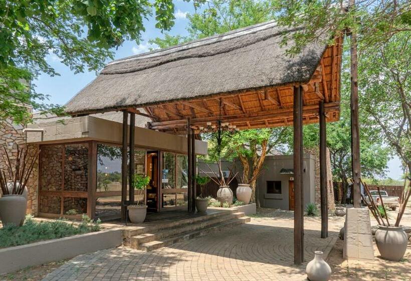 ホテル Zebula Boutique