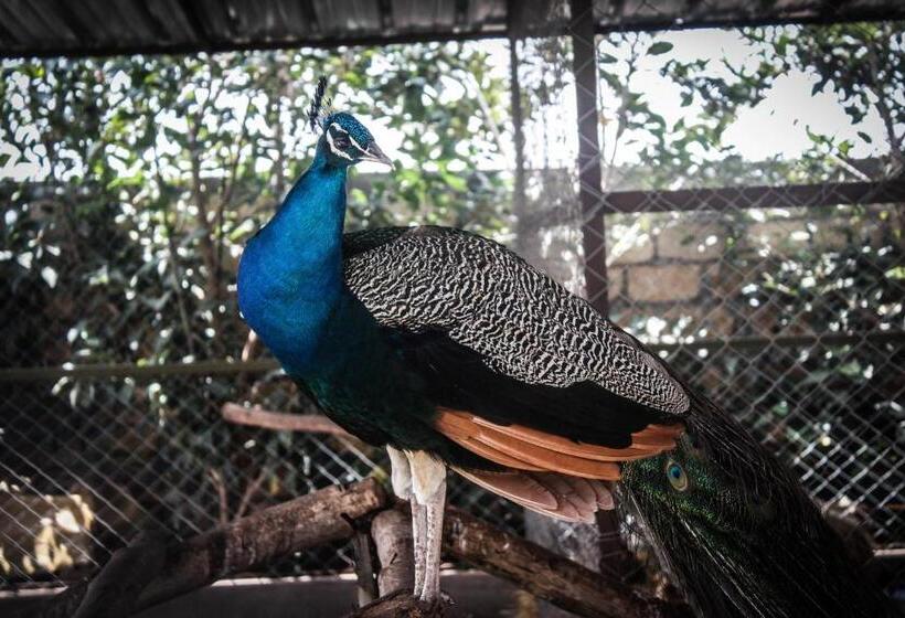 استراحتگاه Zerad