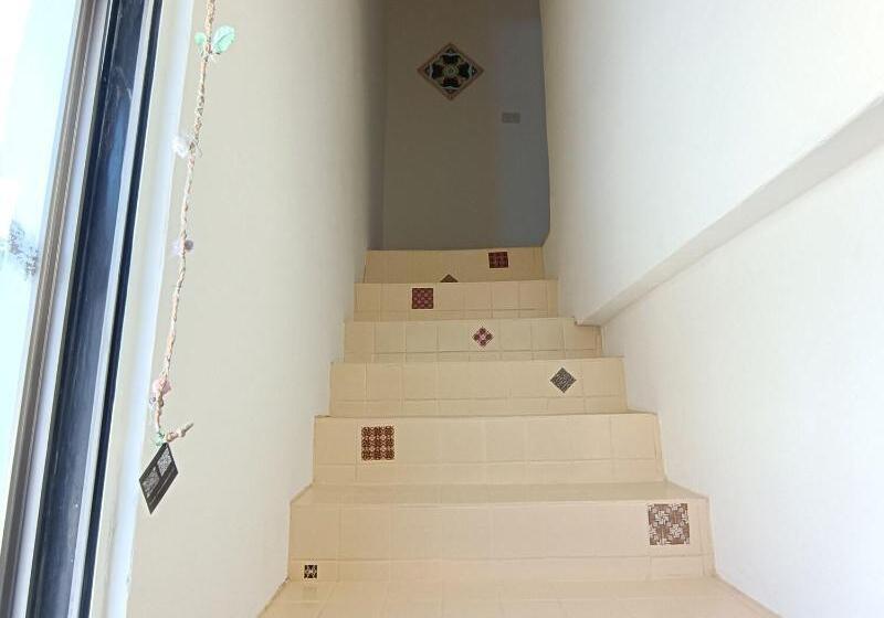 Df Park Space Hostel