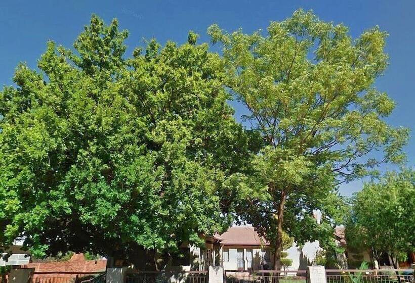 צימר Oak Rest Guesthouse